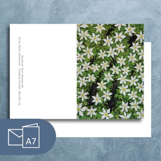 Anemoner