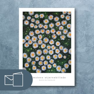 Blomsternes stjernebillede